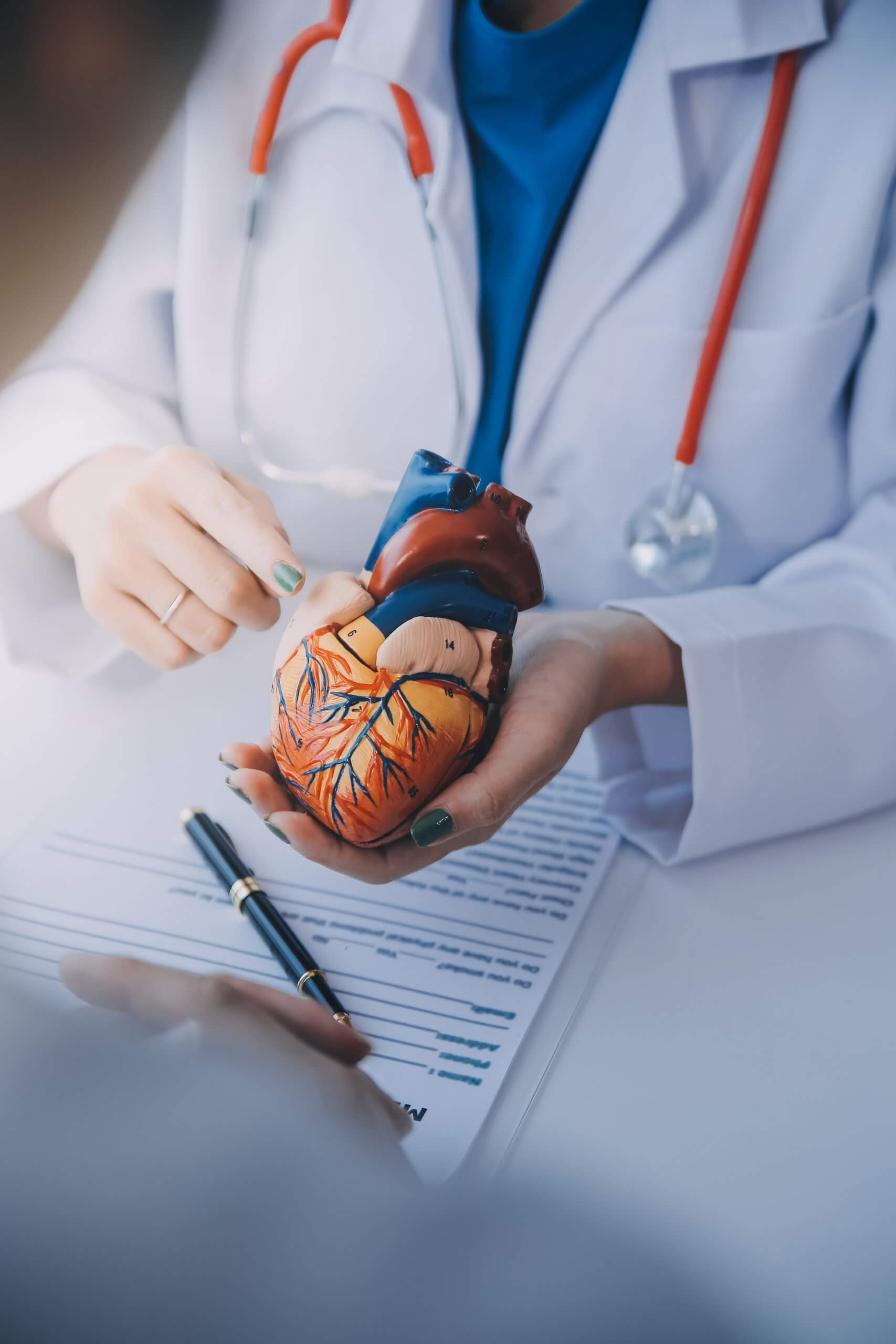 Não deixe o coração aposentar: o papel do geriatra no manejo das doenças cardiovasculares na terceira idade